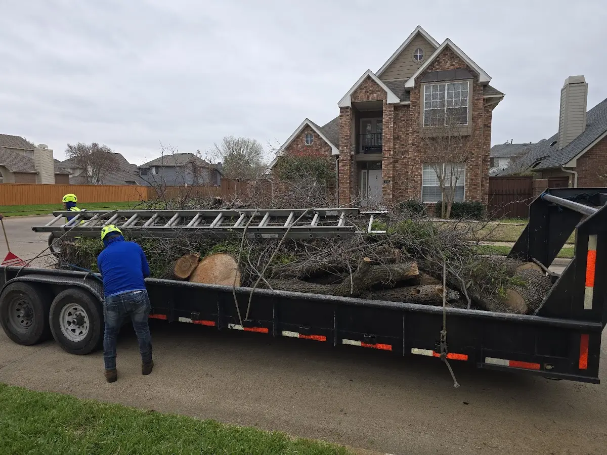 Expert Tree Fertilization with proper safety equipment in Olin